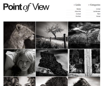 Point Of View Blogger Template