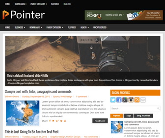 Pointer Blogger Template