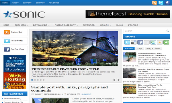 Sonic Blogger Template