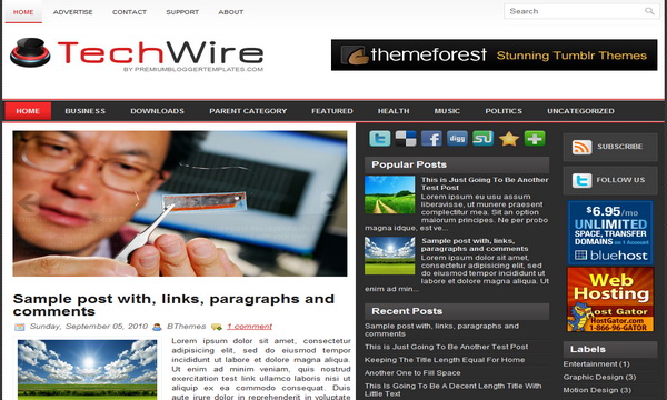 TechWire Blogger Template