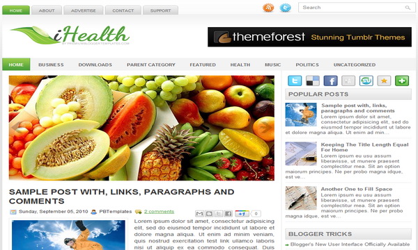 iHealth Blogger Template