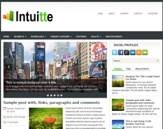Intuitte Blogger Template