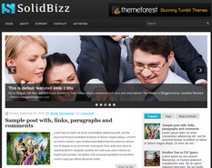 SolidBizz Blogger Template