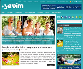 Sevim Blogger Template