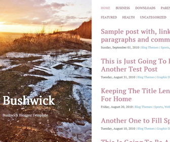 Bushwick Blogger Template