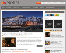 Norm Blogger Template