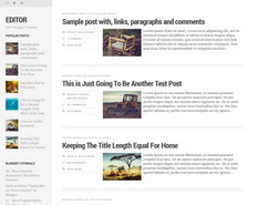 Editor Blogger Template