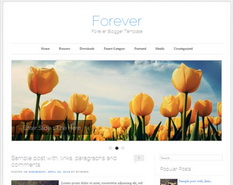 Forever Blogger Template