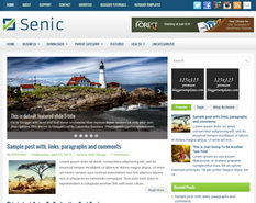 Senic Blogger Template