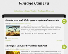 Vintage Camera Blogger Template