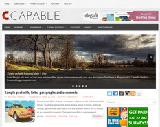 Capable Blogger Template