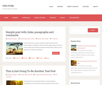 The Funk Blogger Template