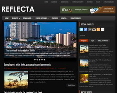 Reflecta Blogger Template