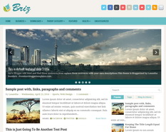 Briz Blogger Template