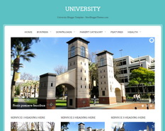 University Blogger Template