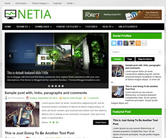 Netia Blogger Template