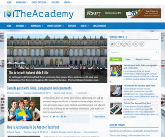 TheAcademy Blogger Template