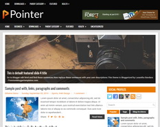 Pointer Blogger Template