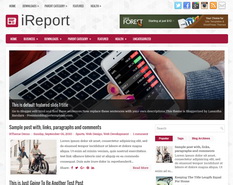 iReport Blogger Template