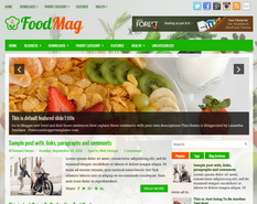 FoodMag Blogger Template