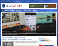 TechMatrix Blogger Template