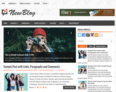 NewBlog Blogger Template