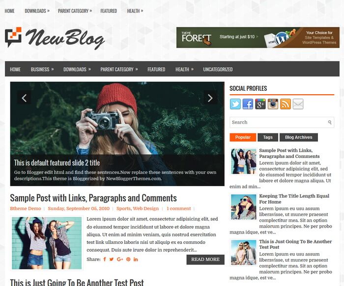 NewBlog Blogger Template