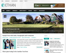 Ethan Blogger Template