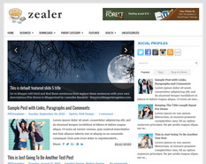 Zealer Blogger Template