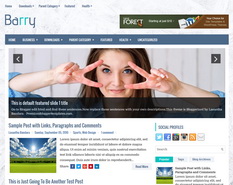 Barry Blogger Template