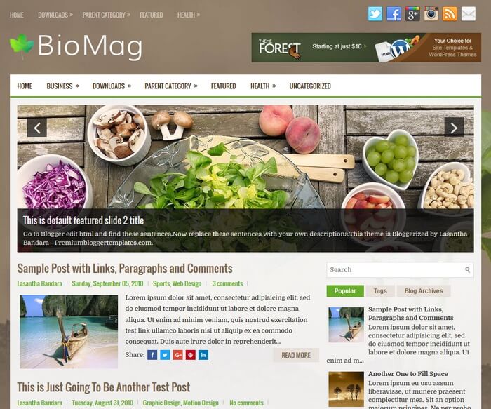BioMag Blogger Template