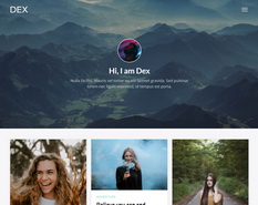 Dex Blogger Template