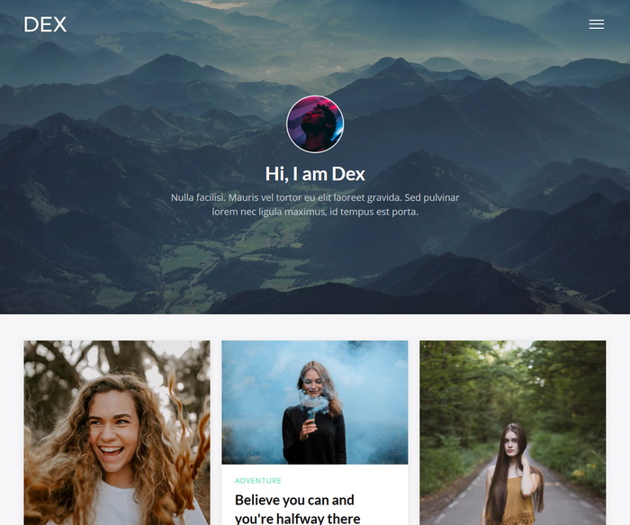 Dex Blogger Template